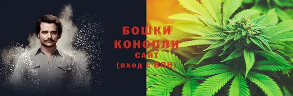 spice Снежногорск