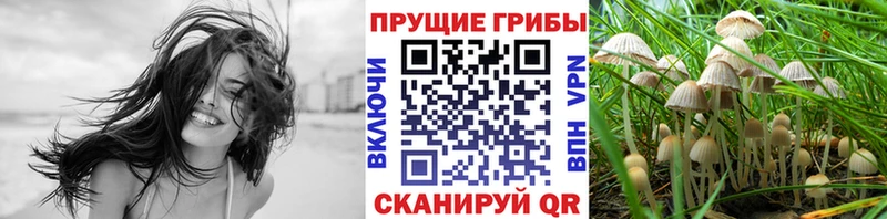 Галлюциногенные грибы ЛСД  магазин продажи наркотиков  Новосокольники 